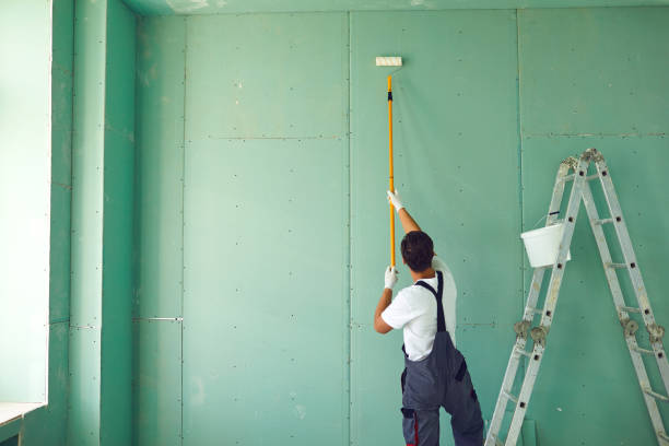 Best Real Estate Mold Inspection  in Monee, IL