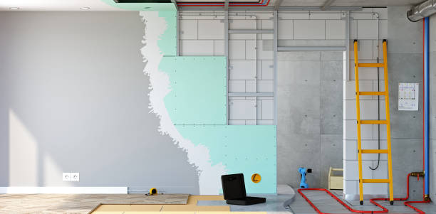Best Mold Removal for HVAC Installations  in Monee, IL