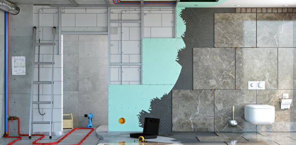 Best Post-Construction Mold Inspection  in Monee, IL