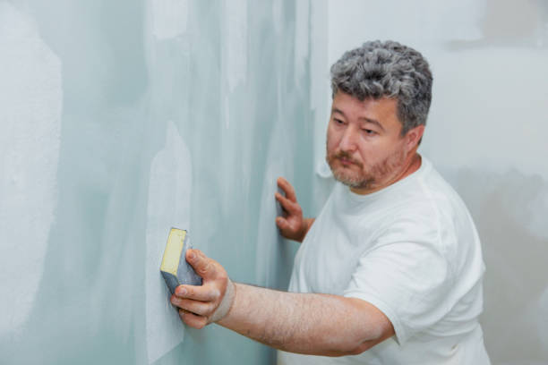 Mold Documentation for Insurance Claims in Monee, IL