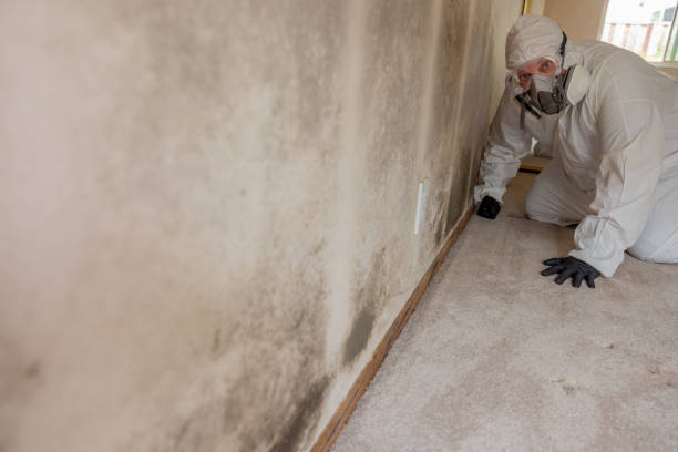 Best Air Quality Testing for Mold Spores  in Monee, IL