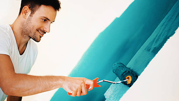 Best Asbestos and Lead Testing During Mold Inspection  in Monee, IL