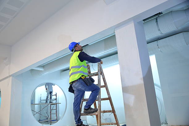 Best Mold Documentation for Insurance Claims  in Monee, IL