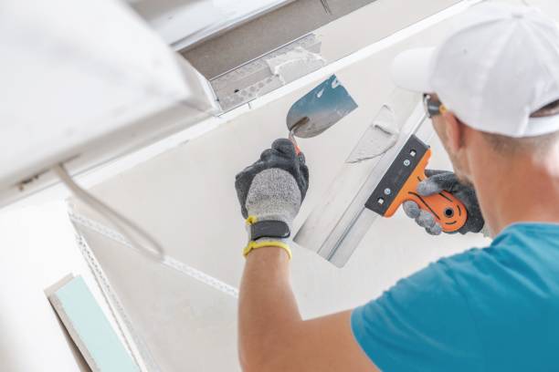 Best Black Mold Removal  in Monee, IL
